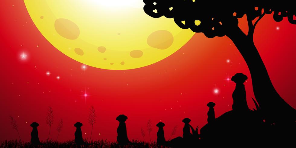Silhouetscène met meerkats en rode hemel vector