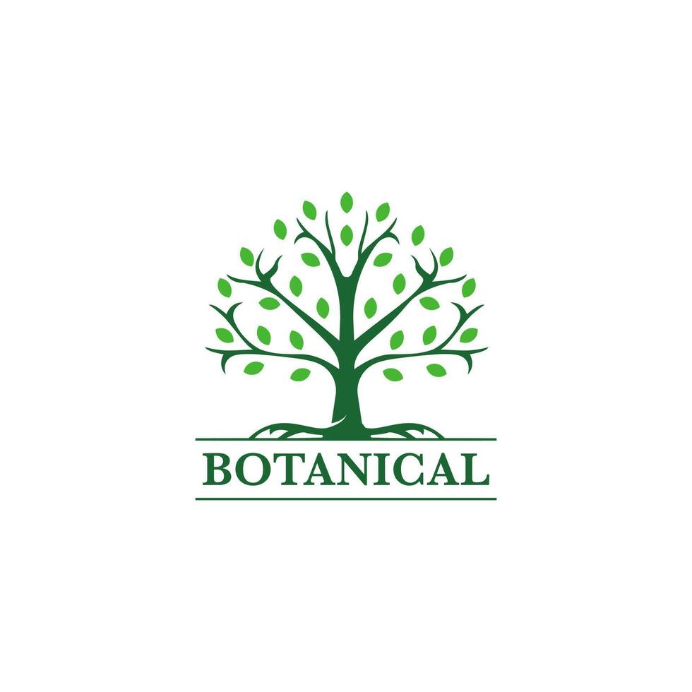 abstract boom van leven logo pictogrammen set. botanisch fabriek natuur symbolen. vector