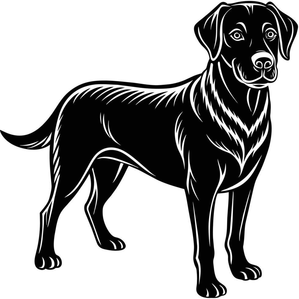 hond labrador, geïsoleerd Aan wit achtergrond vector illustratie.