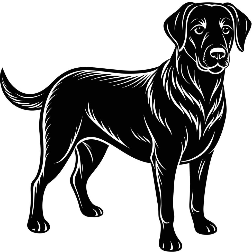 hond labrador, geïsoleerd Aan wit achtergrond vector illustratie.