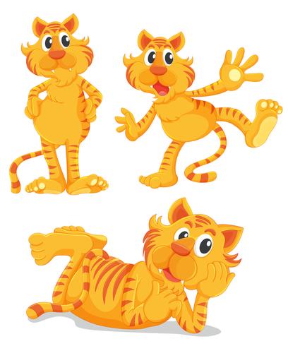 Ginger cats-serie vector