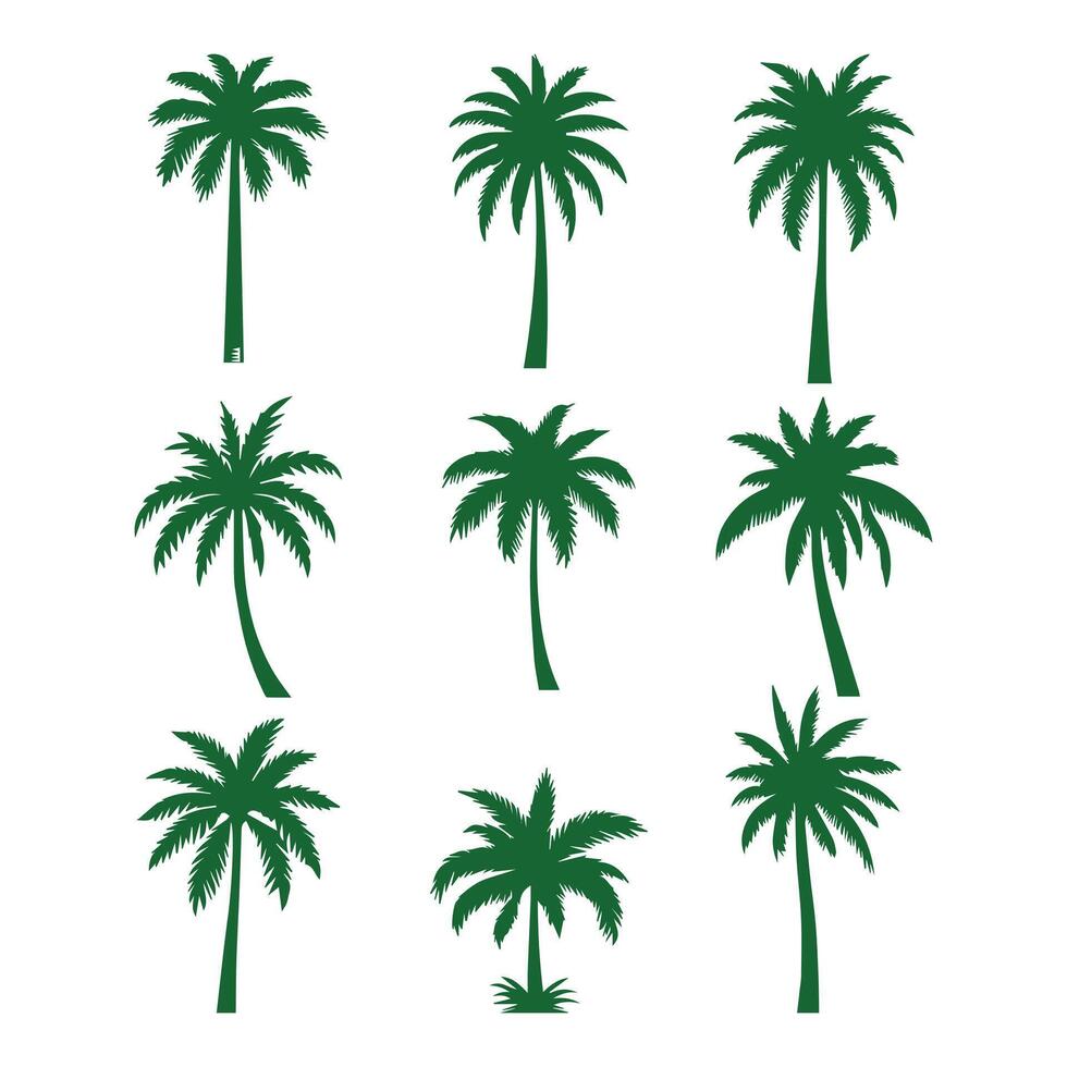 groen tropisch palm boom reeks vector
