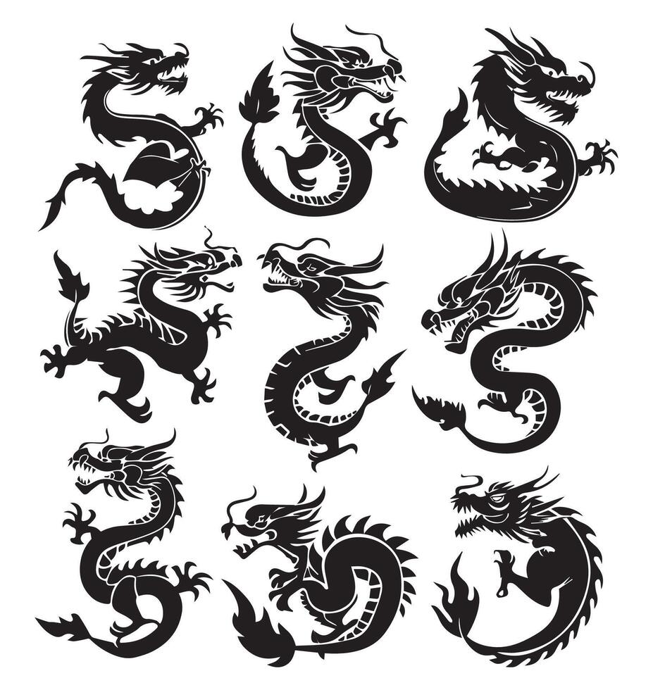 vector groot reeks van verschillend zwart silhouetten van draak tekening schetsen tatoeëren vector vlak