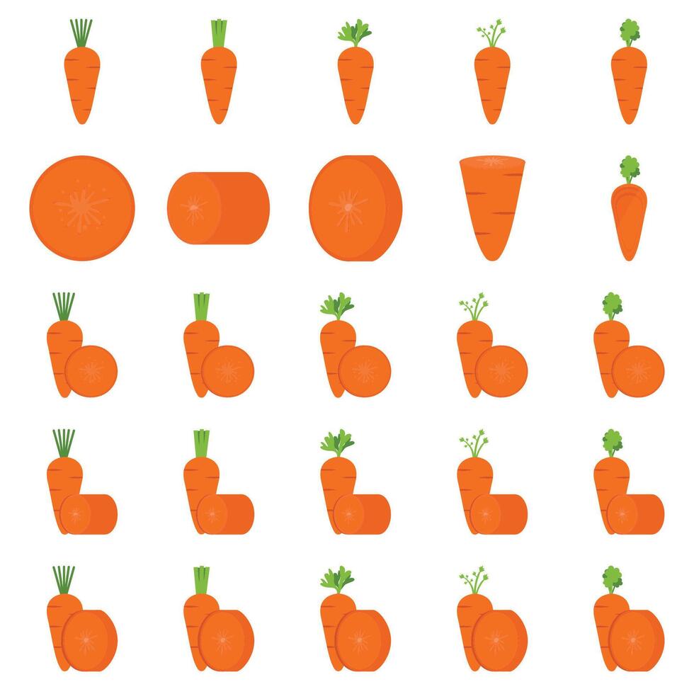 illustratie van wortel pak vector