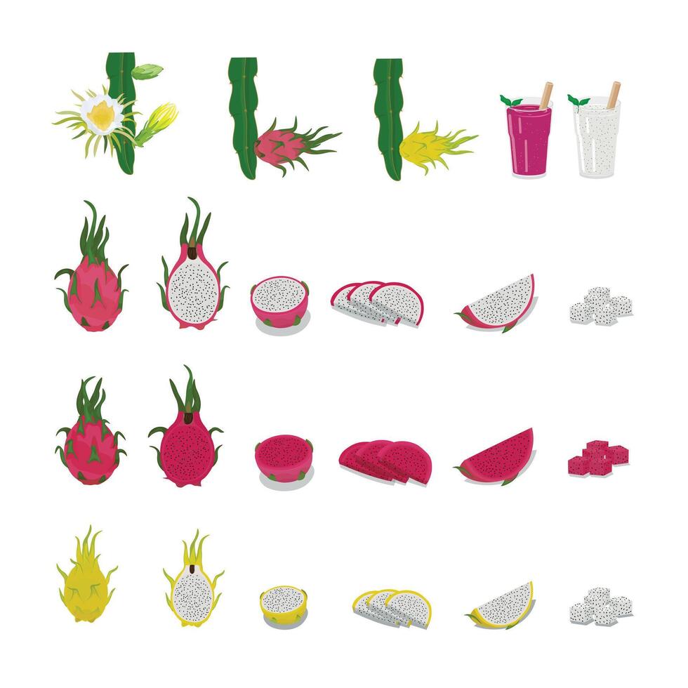 reeks van draak fruit vlak vector geïsoleerd Aan wit achtergrond. geheel en gesneden draak fruit. pitaja. tropisch vruchten.