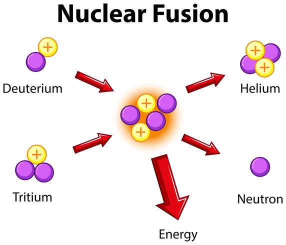 Diagram dat kernfusie toont vector