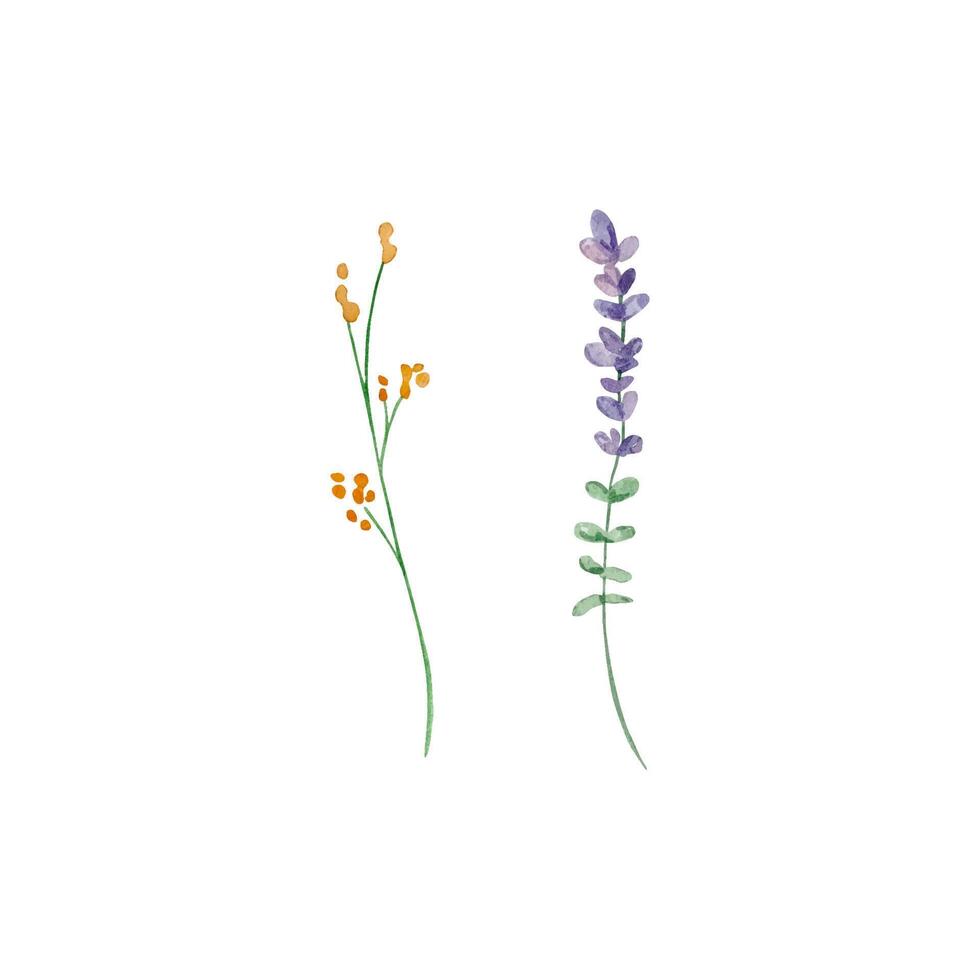 waterverf wilde bloemen, delicaat botanisch illustratie vector