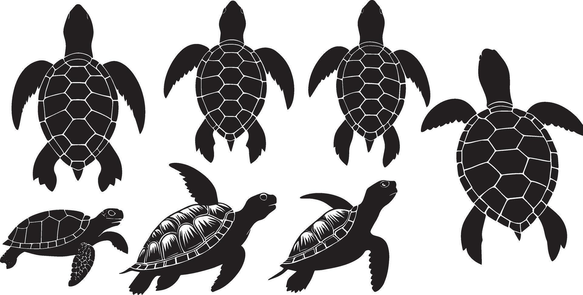 reeks van een schildpad silhouet vector