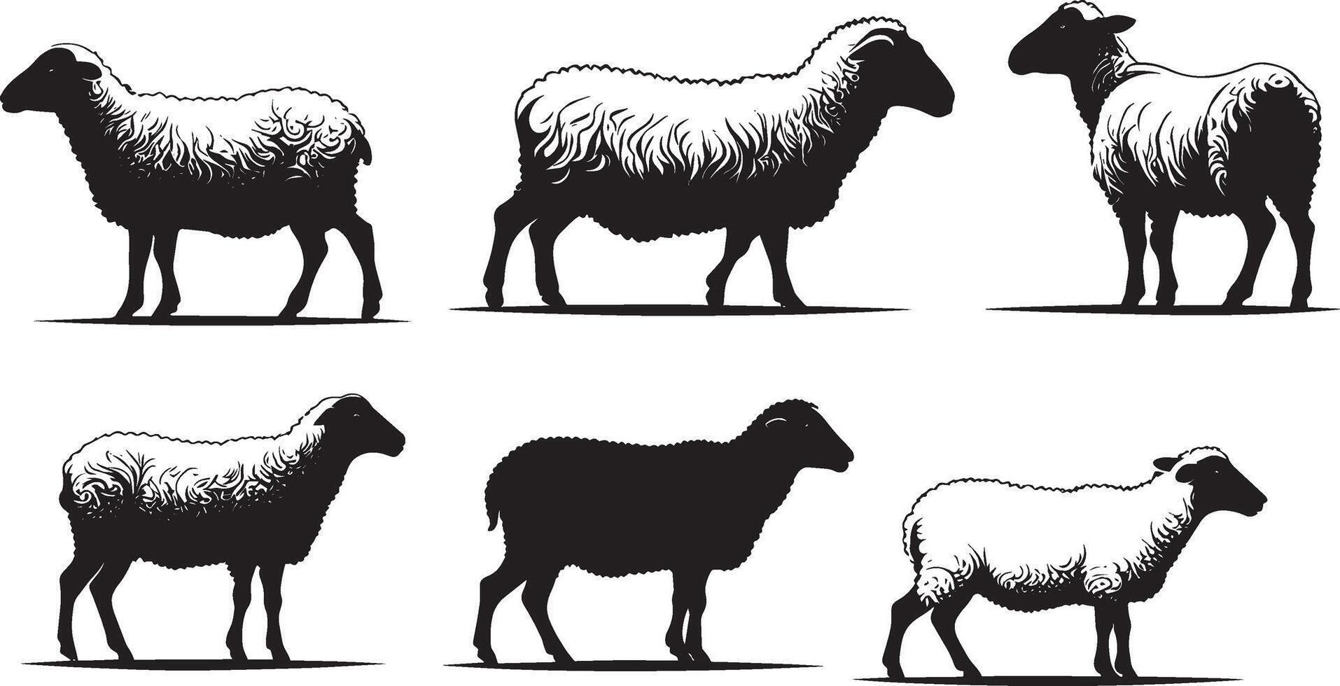 reeks van een schapen silhouet vector