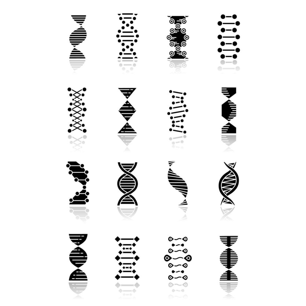 dna-helix slagschaduw zwarte glyph pictogrammen instellen. deoxyribonucleïnezuur, nucleïnezuurstructuur. spiraalvormige strengen. chromosoom. moleculaire biologie. genetische code. genoom. genetica. geïsoleerde vectorillustraties vector