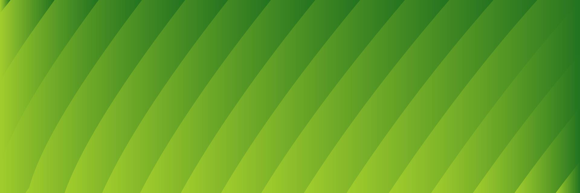 abstract elegant groen achtergrond met lijnen vector