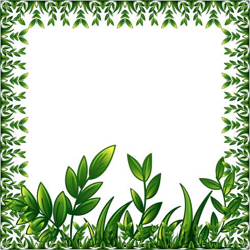 Groen plantenframe met decoratief ornament vector