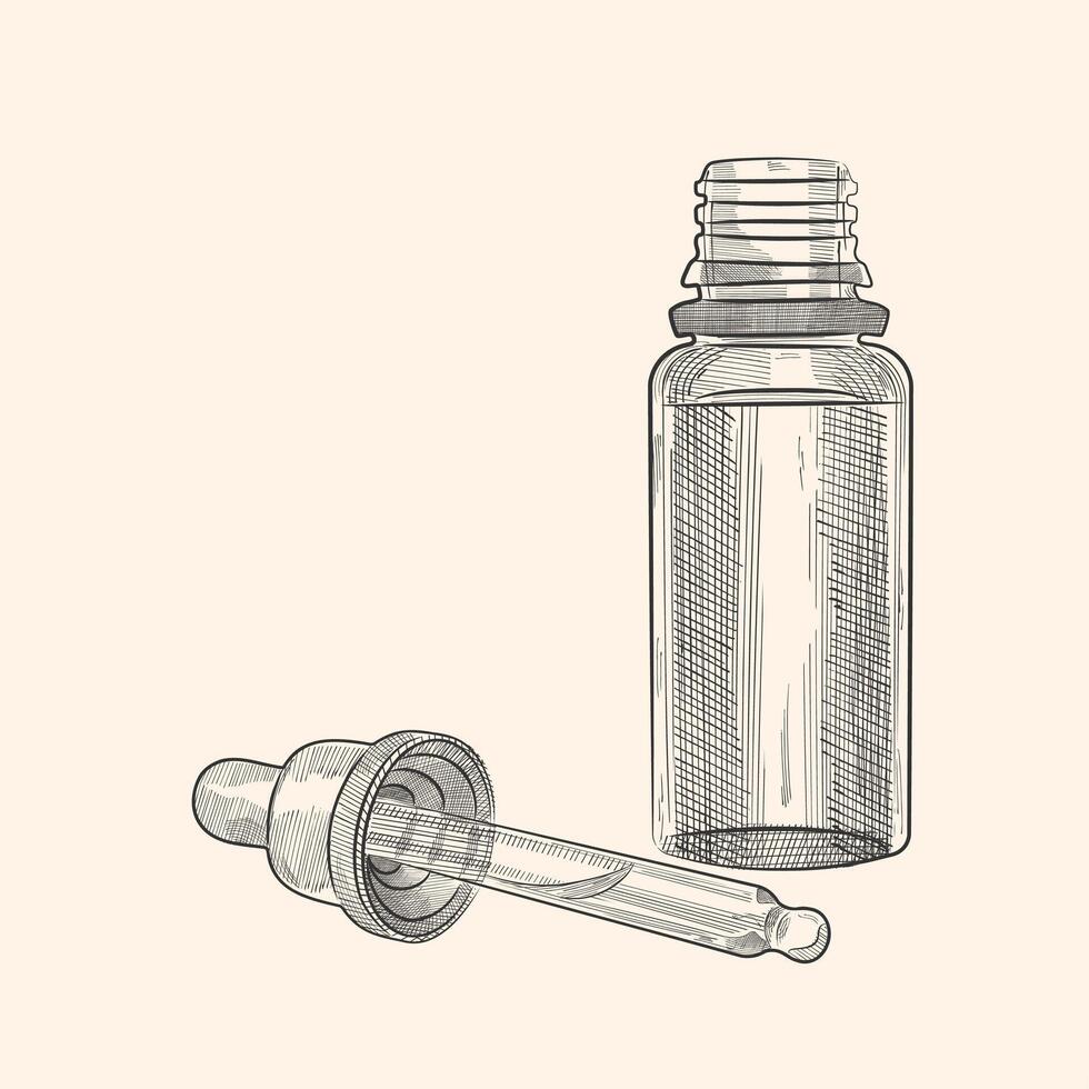 hand geschilderd fles met druppelaar. artistiek gravure. mooi zo voor cosmetica, geneesmiddel, behandeling, aromatherapie, Gezondheid zorg verpakking ontwerp. vector