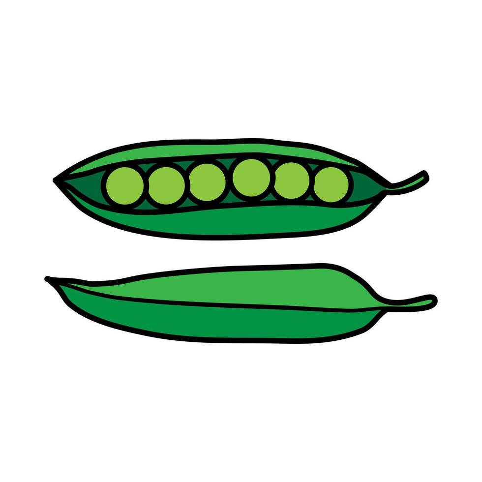 groen erwten in een peul geïsoleerd Aan wit achtergrond. vector illustratie eps 10.