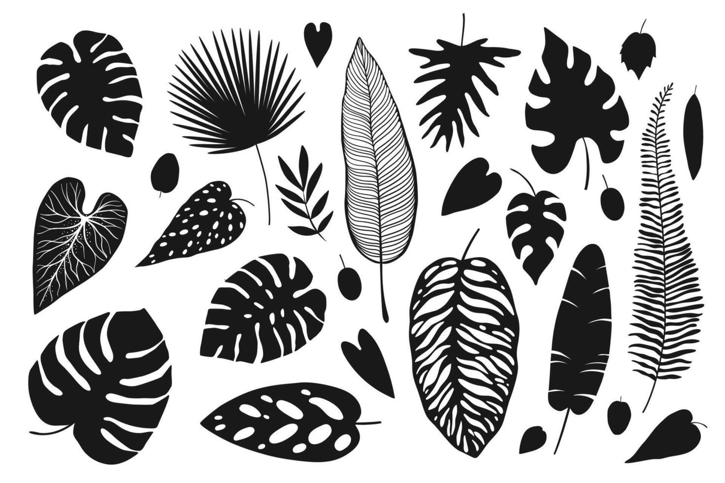 mooi hand- getrokken exotisch planten. monsters geïsoleerd Aan wit achtergrond. silhouet van monstera bladeren vector