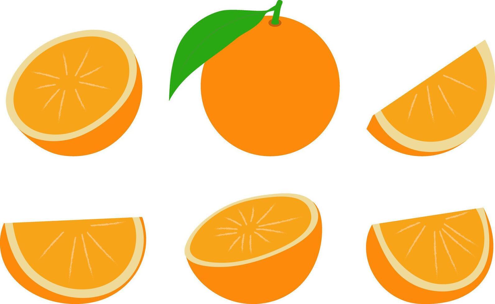oranje. reeks van voor de helft besnoeiing plak oranje fruit geïsoleerd Aan wit achtergrond. mandarijn. biologisch fruit. vlak stijl. vector illustratie.