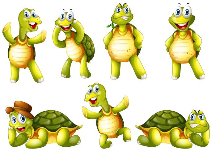 Leuke schildpadden met verschillende emoties vector