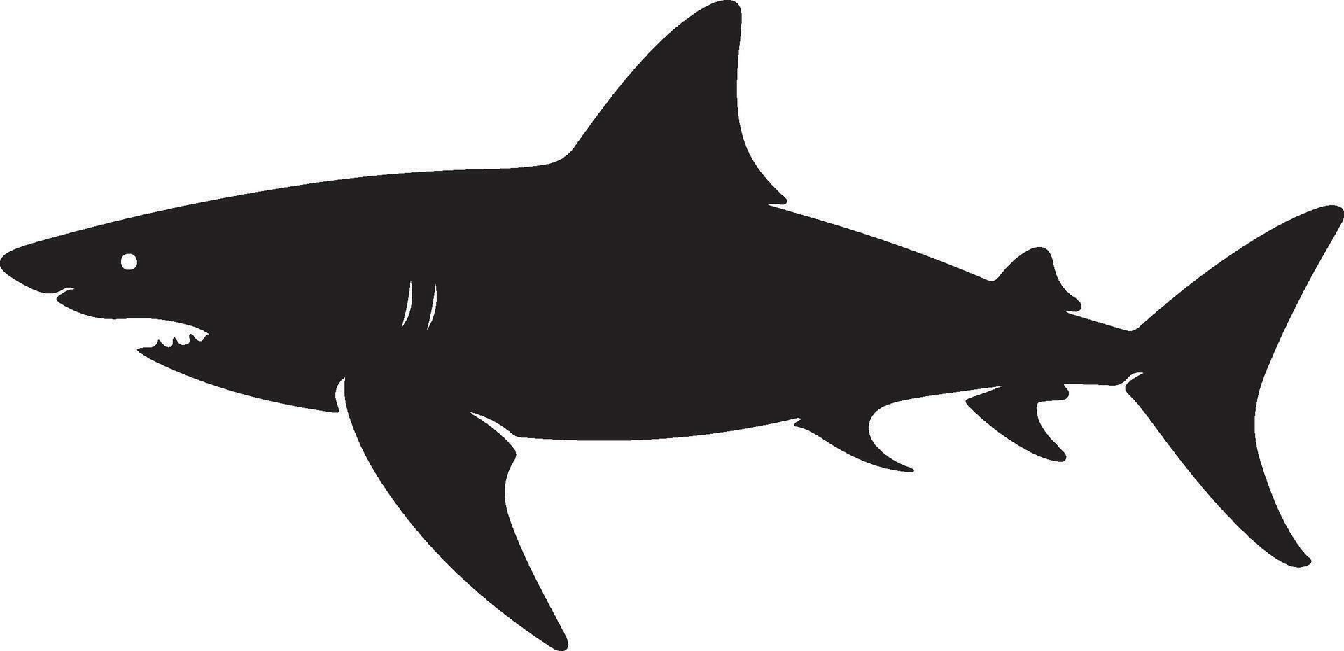 haai silhouet vector illustratie wit achtergrond