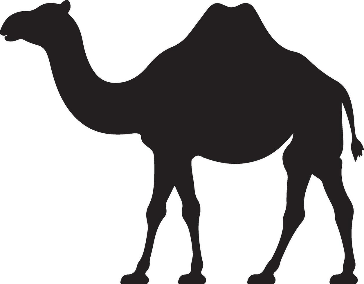 kameel silhouet vector illustratie wit achtergrond