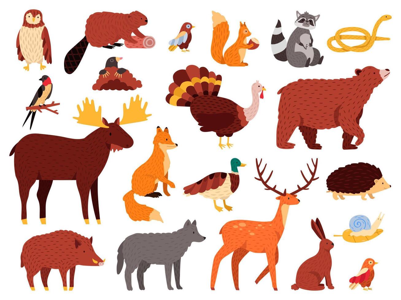 schattig dieren. tekenfilm Woud dieren, beer wasbeer vos en schattig uil, hand- getrokken zoogdieren en vogels, vallen hout fauna vector illustratie pictogrammen reeks