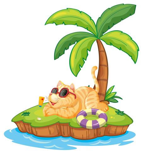 Kat op het zomereiland vector