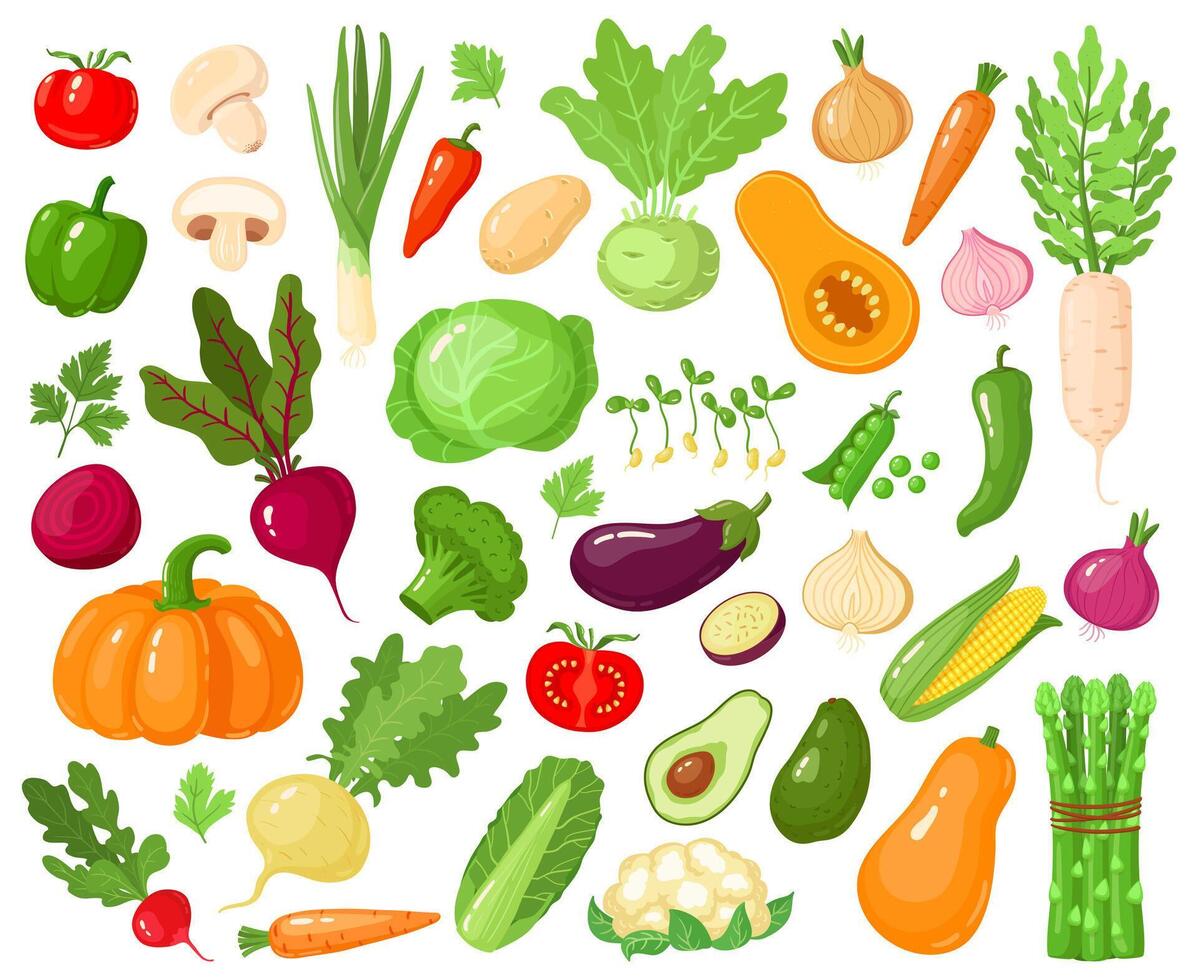 tekenfilm groenten. veganistisch groenten voedsel, tomaat, pompoen, courgette en wortel, vegetarisch vers rauw groente vector illustratie pictogrammen reeks