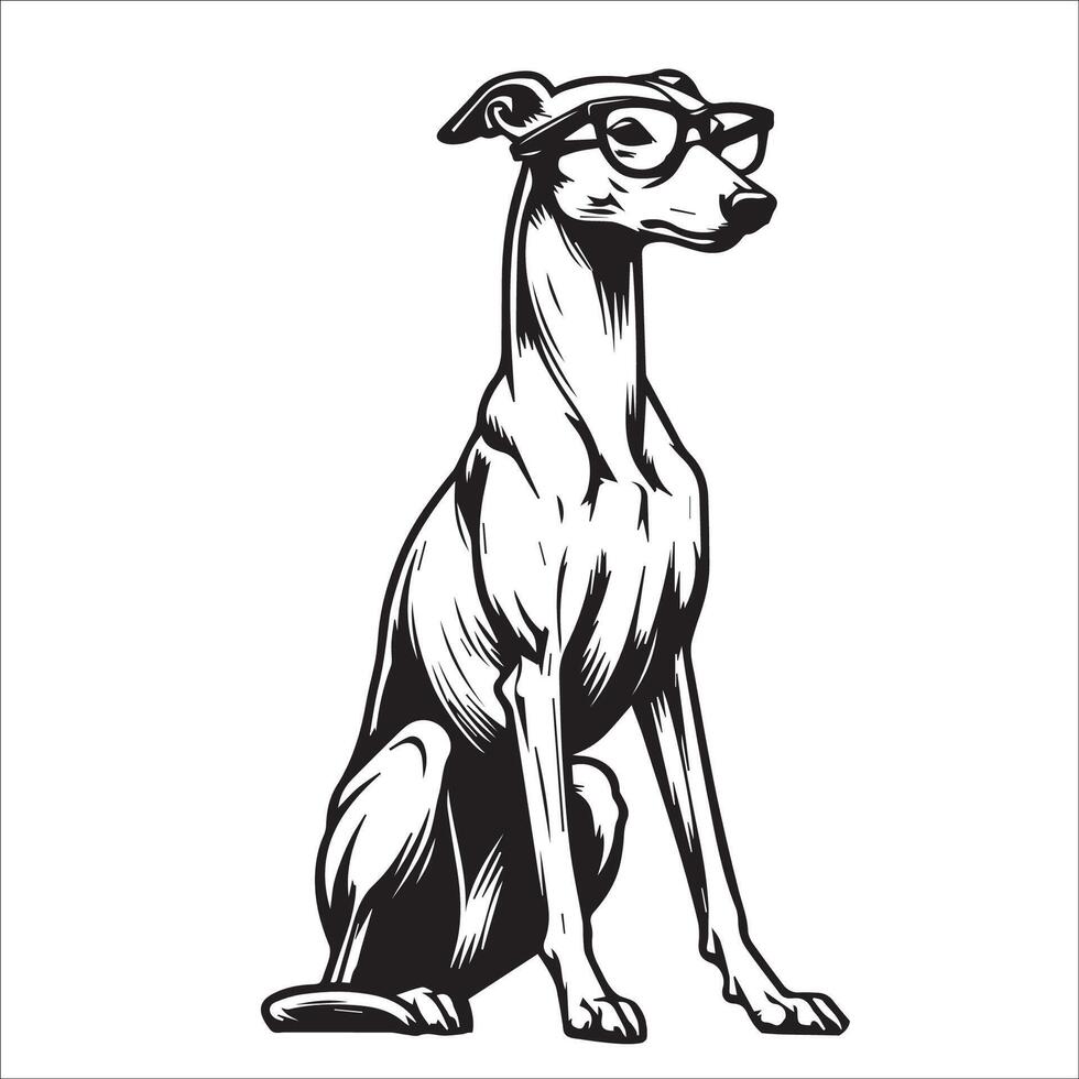 ai gegenereerd whippet hond vervelend zonnebril illustratie vector