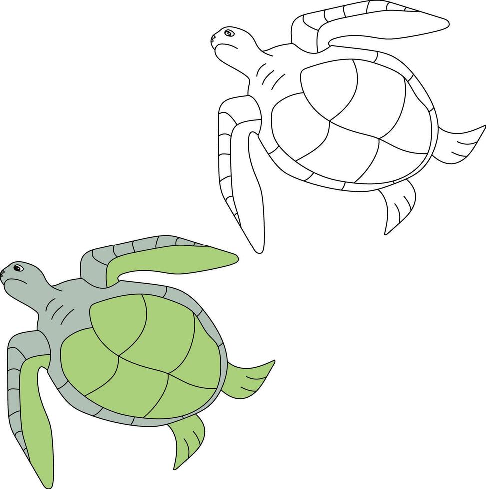 zee schildpad clip art set. schets en kleurrijk schildpadden vector