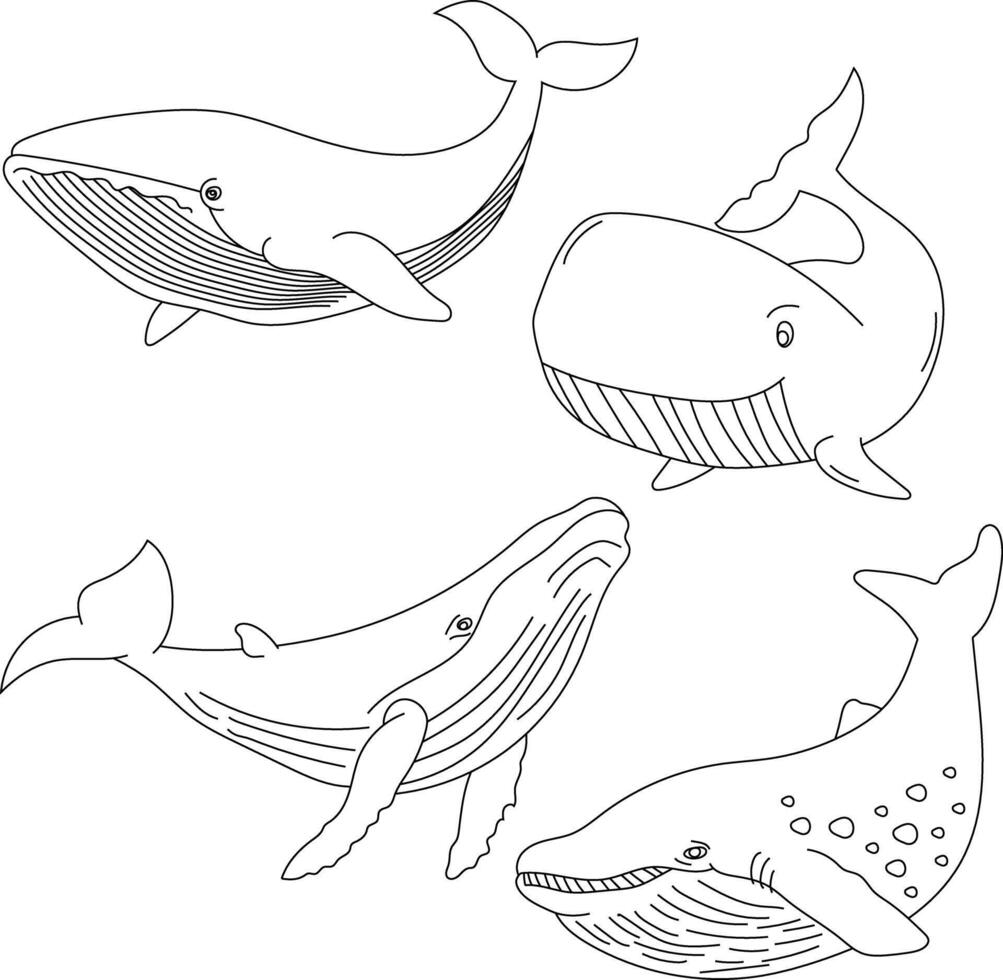 schets walvis clip art reeks vector