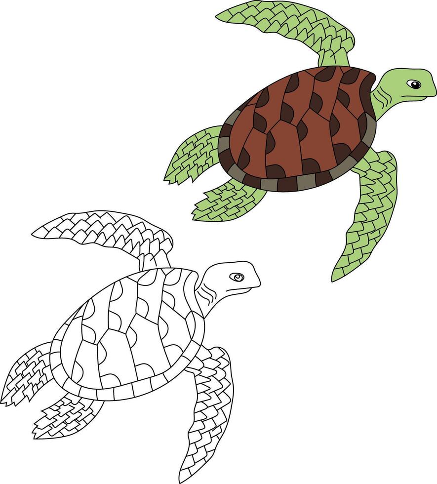 zee schildpad clip art set. schets en kleurrijk schildpadden vector