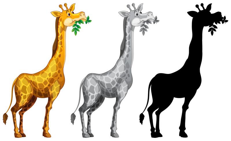 Set van giraffe karakter vector