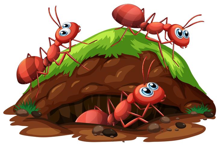 Werknemer mieren op witte achtergrond vector
