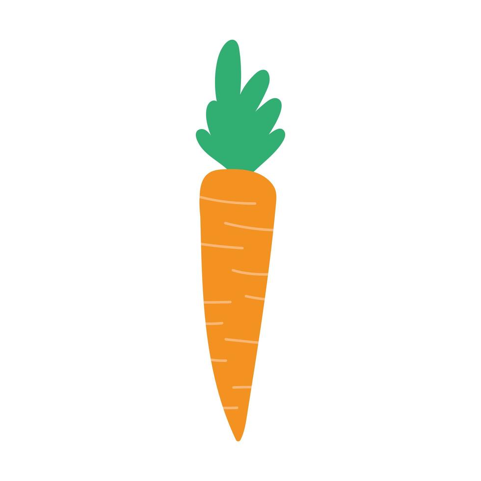 wortel groente oogst geïsoleerd pictogram witte achtergrond vector