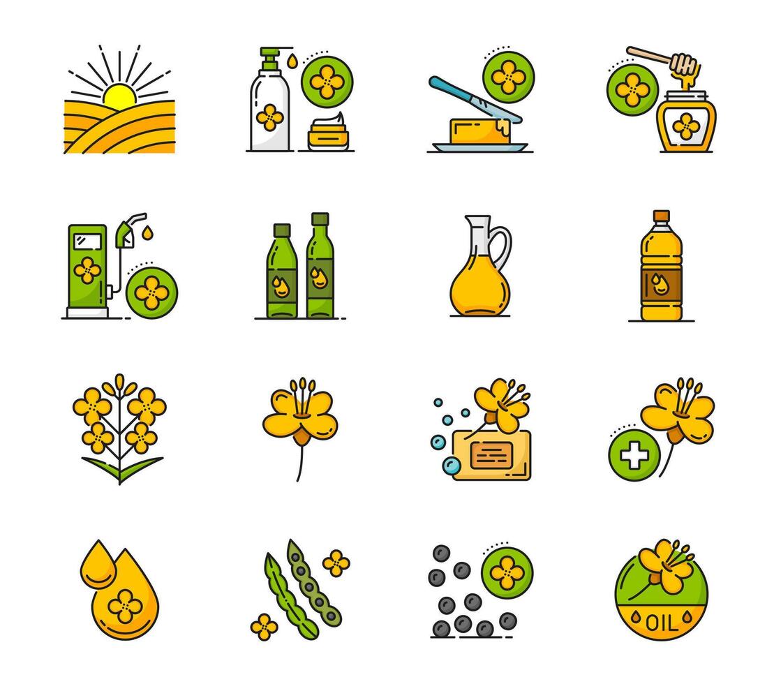 koolzaad, canola olie pictogrammen, koolzaad bloemen, zaden vector