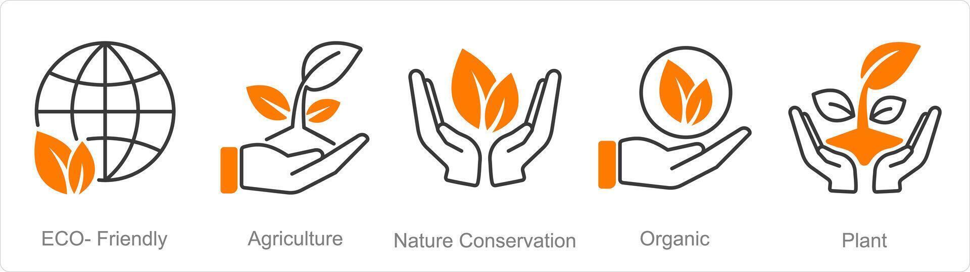 een reeks van 5 biologisch landbouw pictogrammen net zo milieuvriendelijk, landbouw, natuur behoud vector