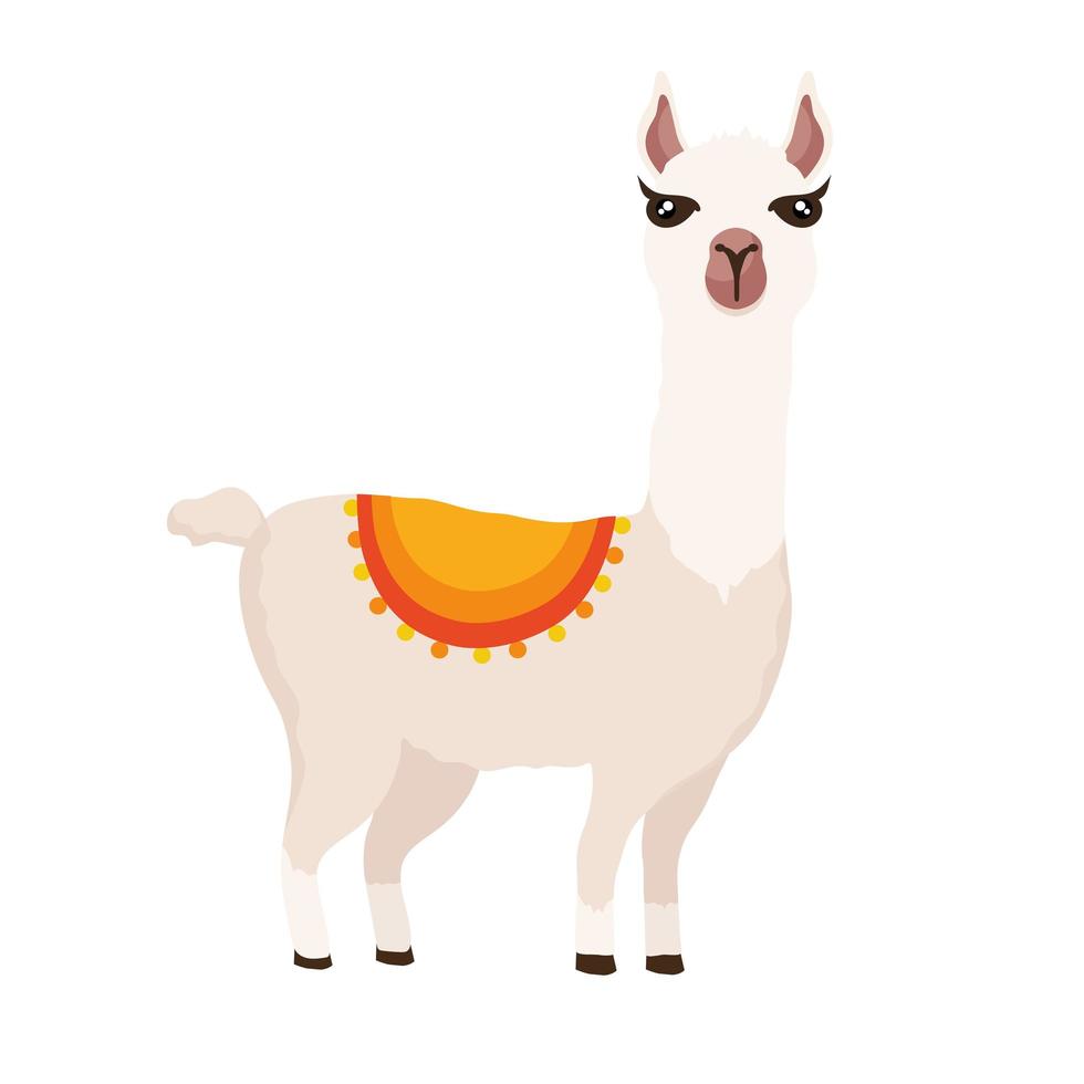 Peruviaans alpaca dier vector