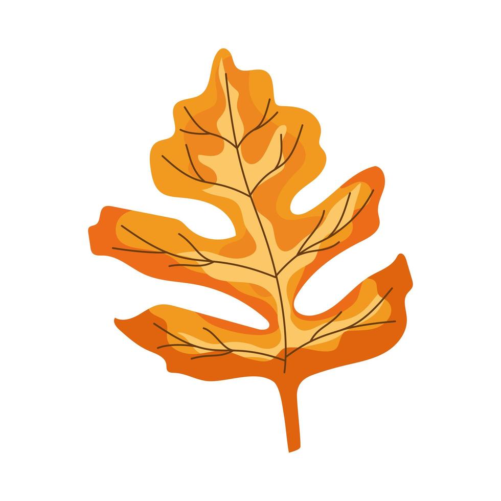 herfst oranje blad vector