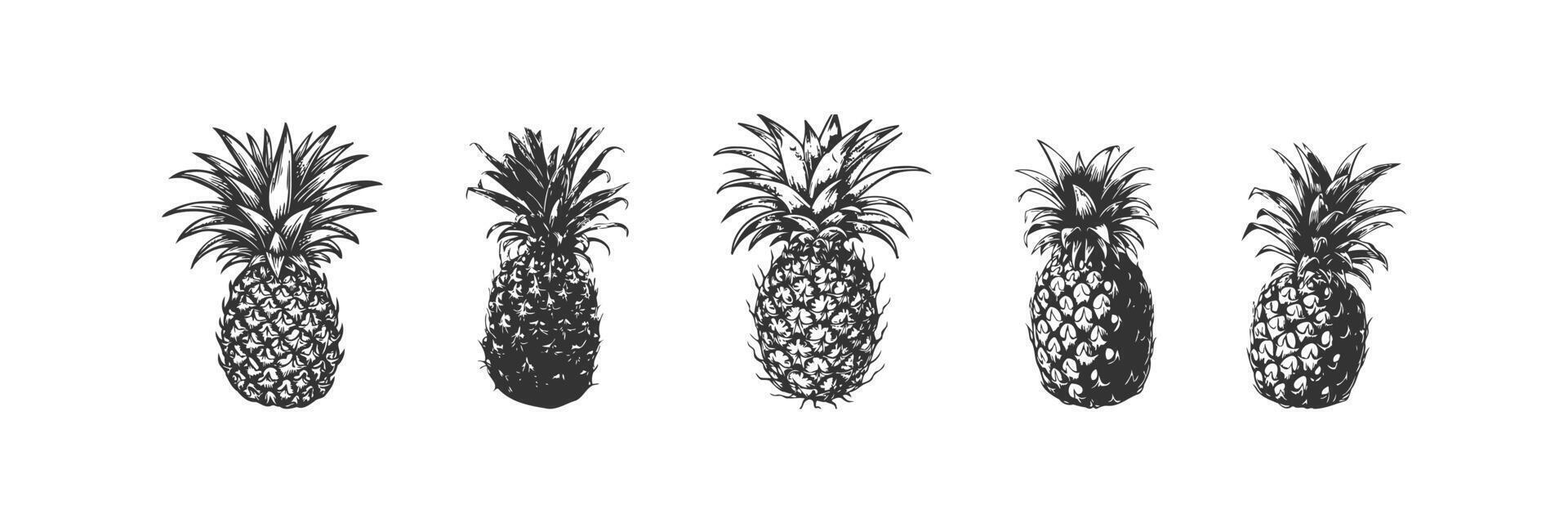 ananas silhouet icoon set. vector illustratie ontwerp.