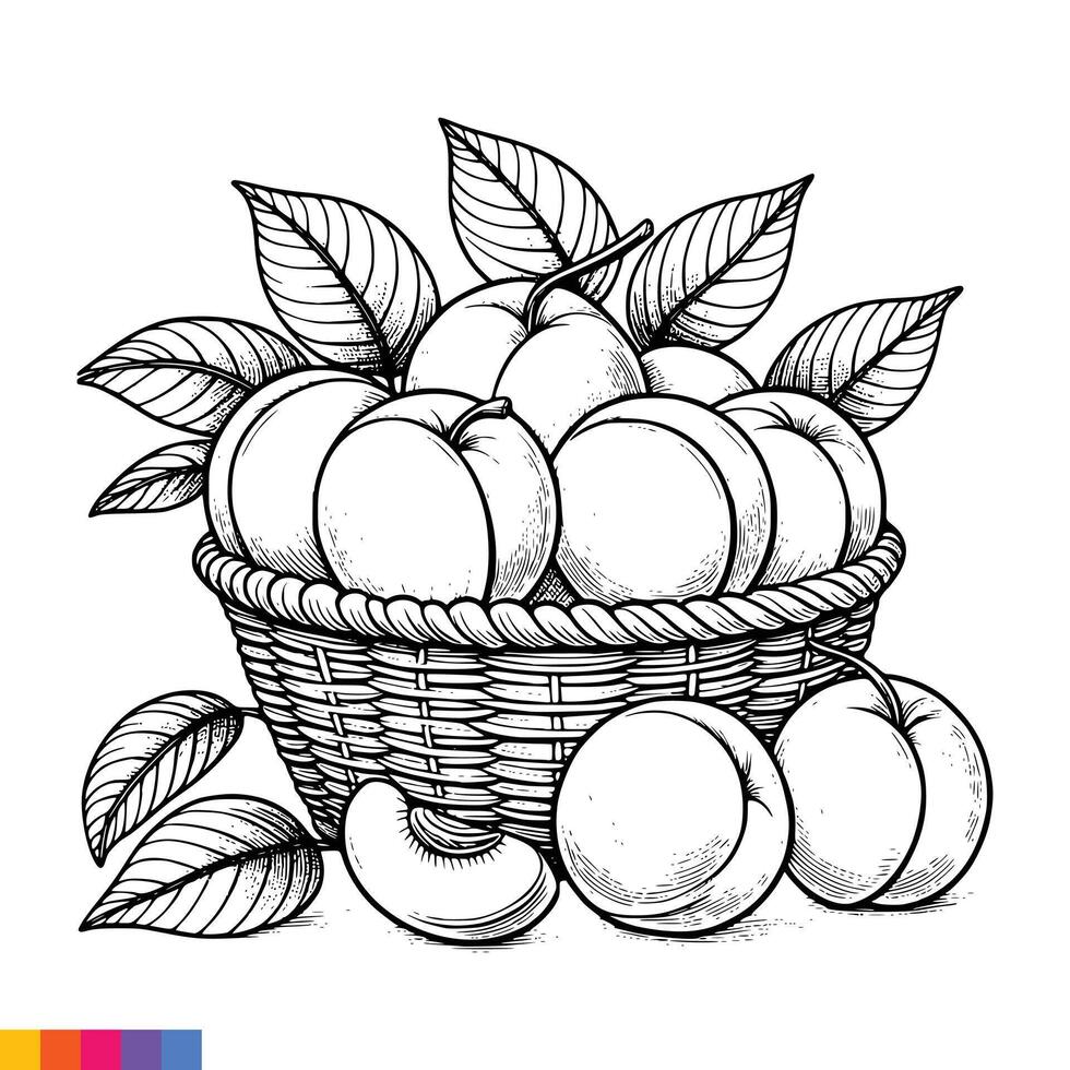 fruit mand lijn kunst illustratie voor de kleur boek. fruit kleur bladzijde. vector grafiek