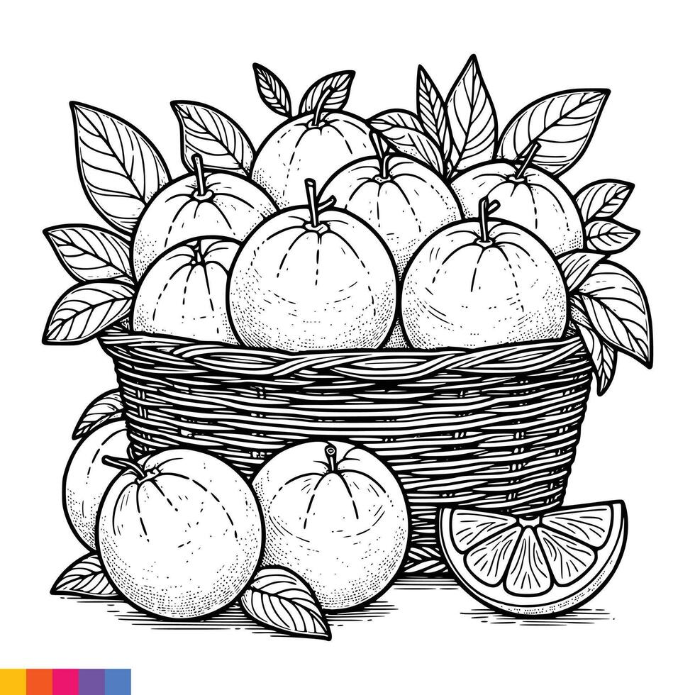 fruit mand lijn kunst illustratie voor de kleur boek. fruit kleur bladzijde. vector grafiek