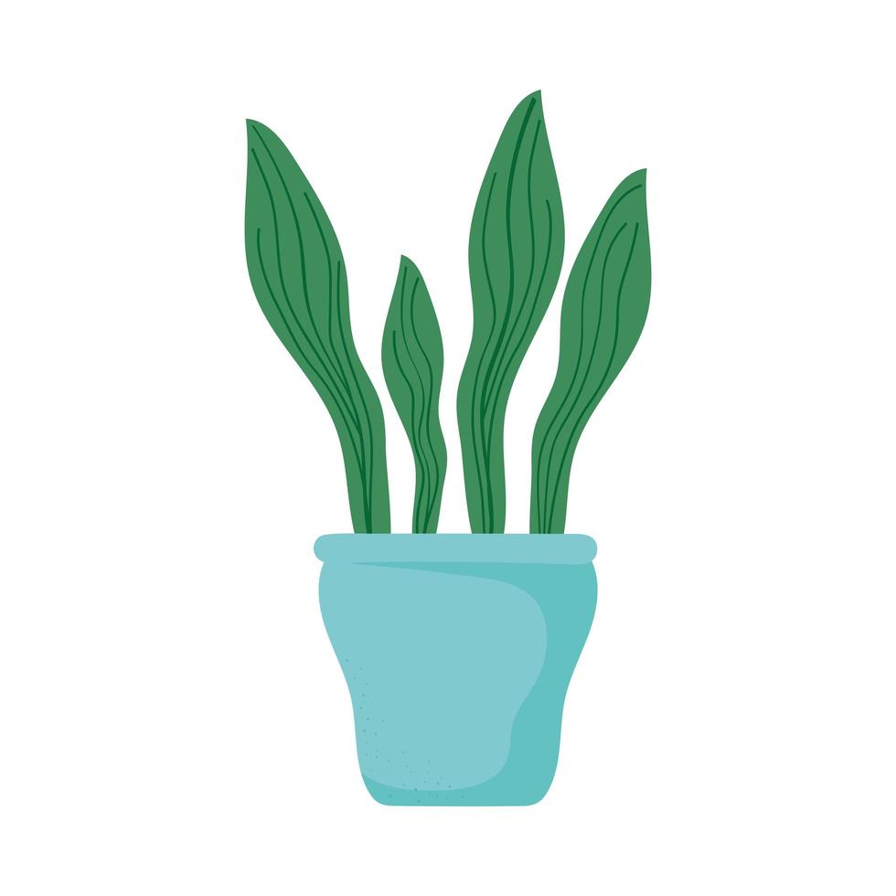 plant in pot vector