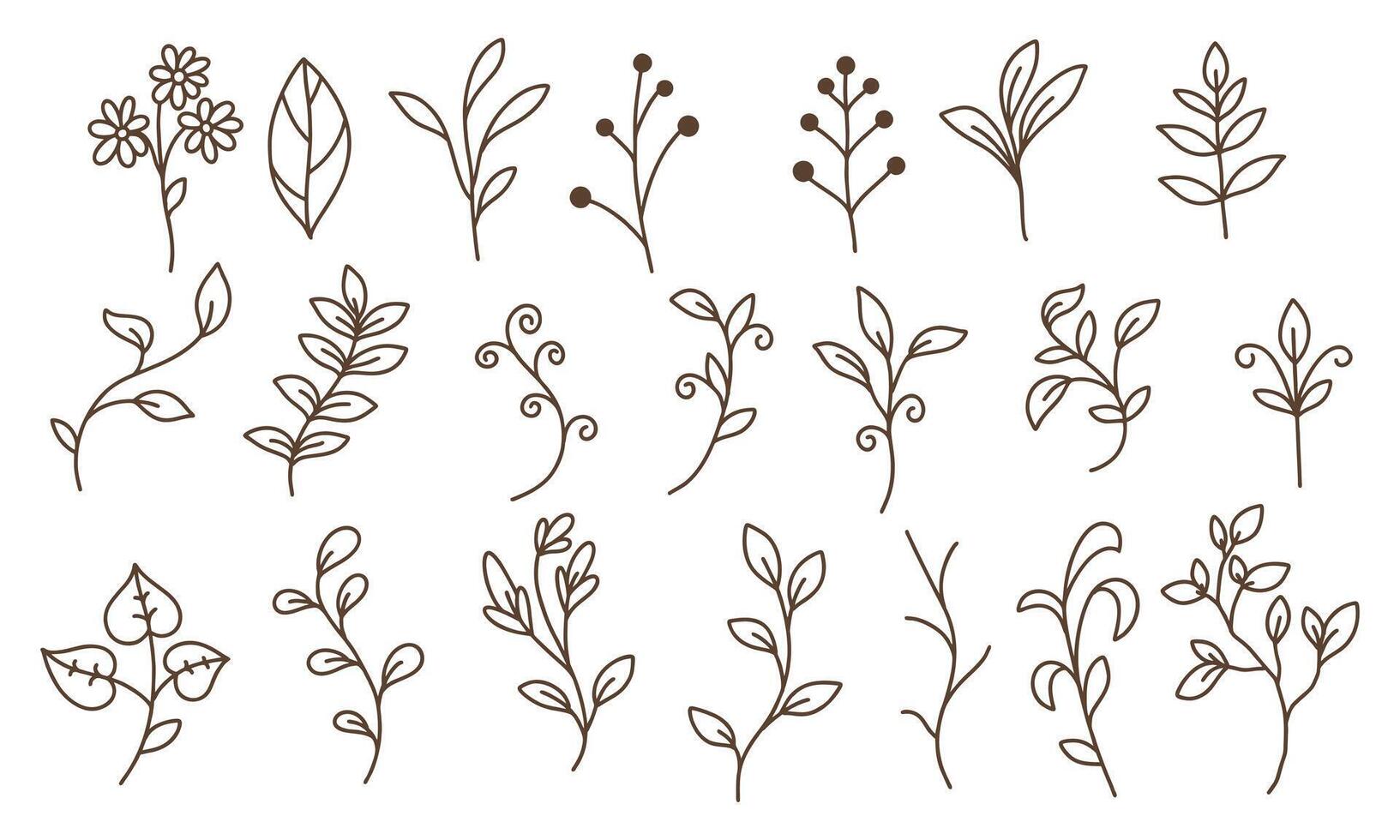 hand- getrokken kleurloos bloemen decoratie element reeks vector