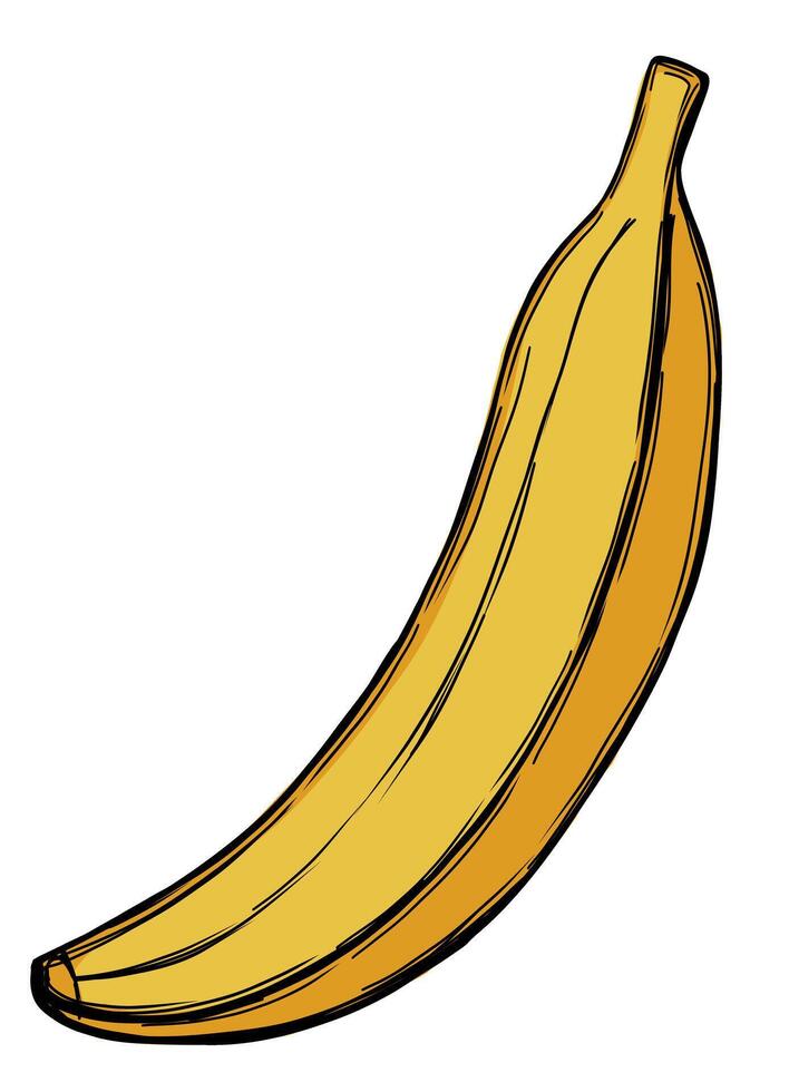 banaan fruit in schets stijl vector