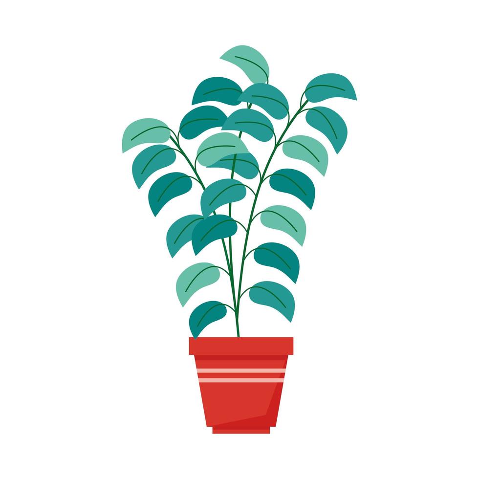 kamerplant in pot vector