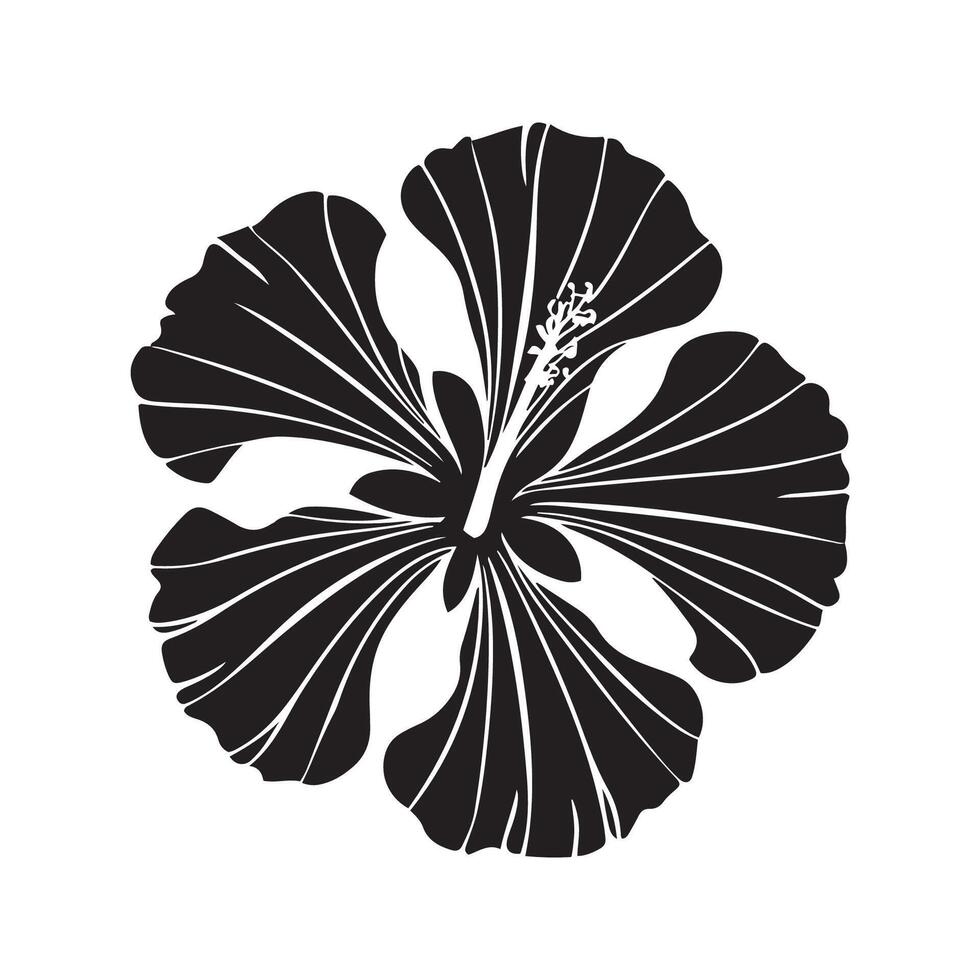 hibiscus bloem vector met zwart en wit