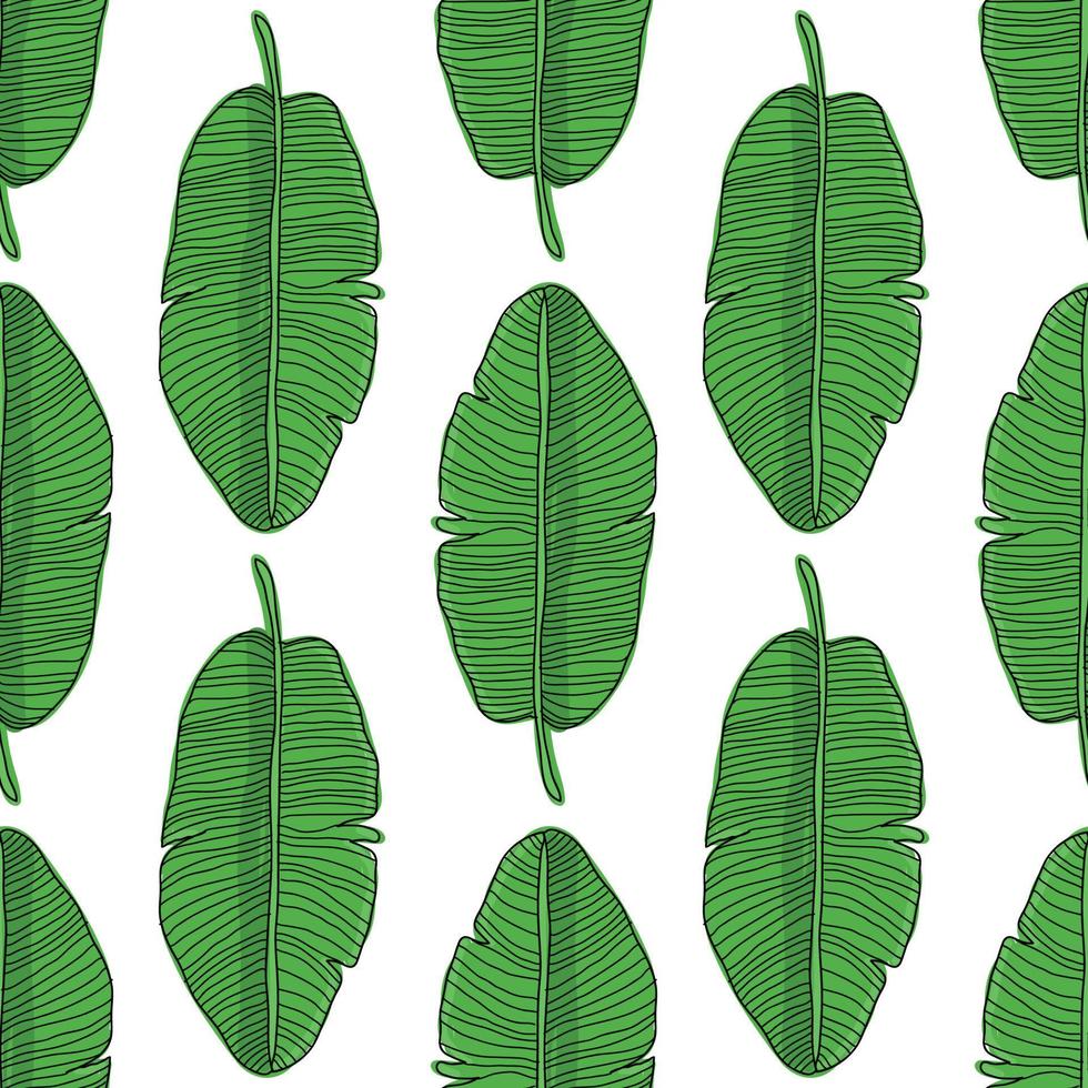 bananenbladeren naadloze patroon. vector