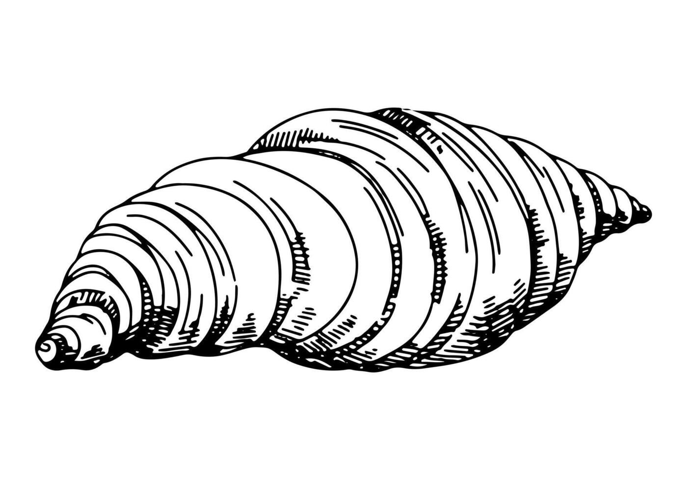 croissant. single schetsen van zoet voedsel, nagerecht. hand- getrokken vector illustratie in retro stijl. schets clip art geïsoleerd Aan wit achtergrond.