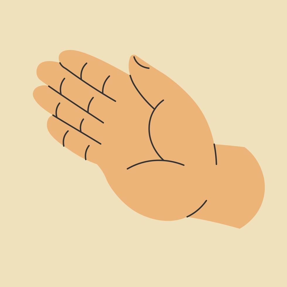 armen van persoon, hand- gebaar tonen palm vector