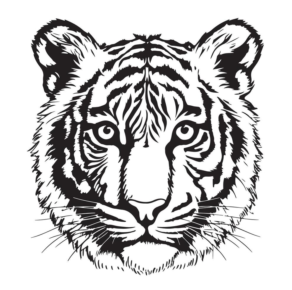hoofd van een tijger hand- getrokken schetsen in tekening stijl vector
