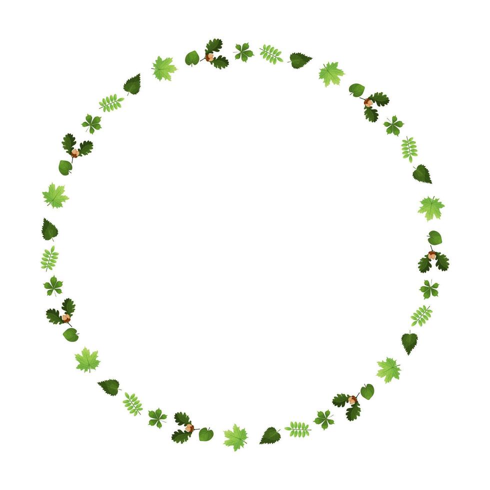 ronde kader groen Woud bladeren. ruimte voor tekst. vector illustratie.